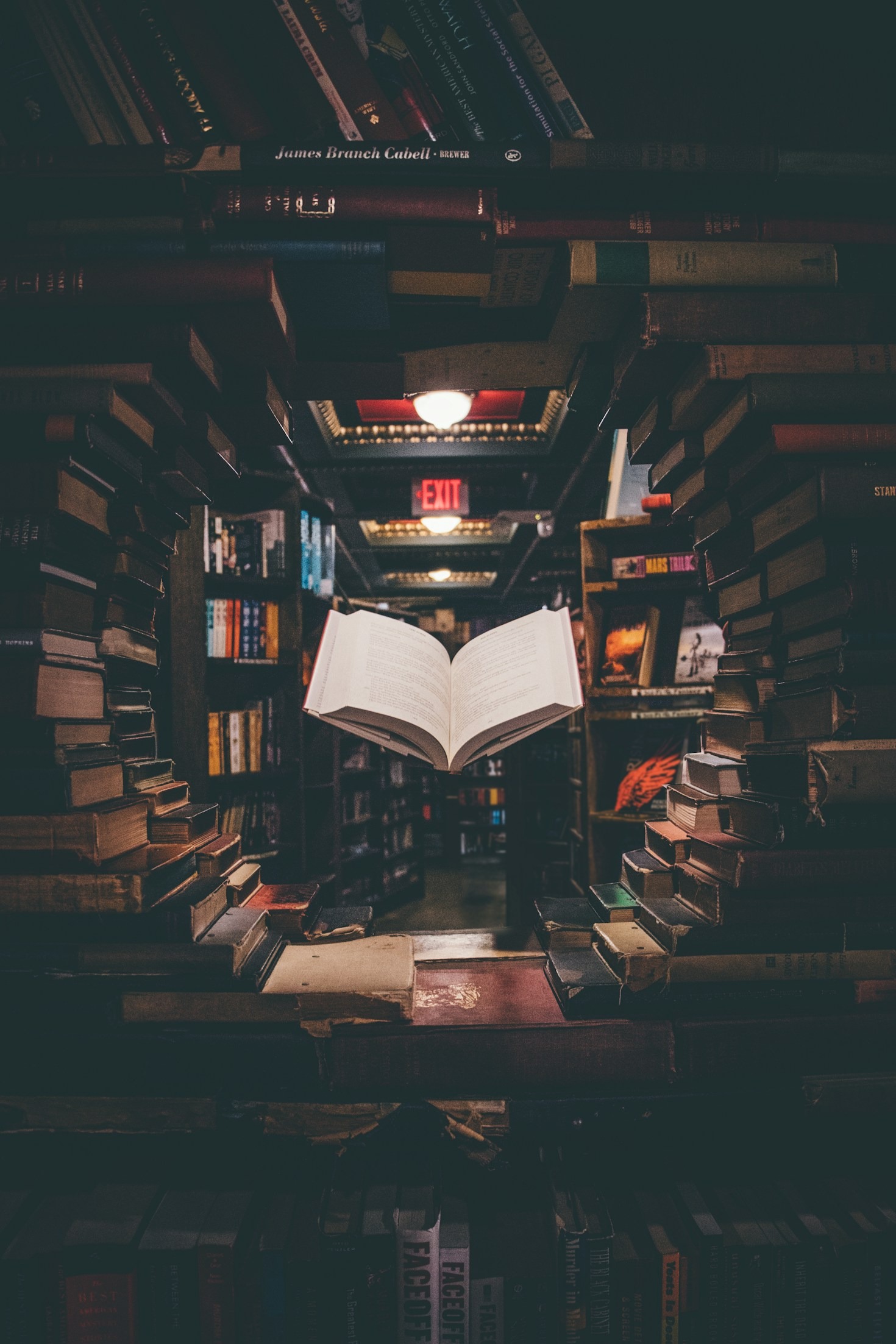 Literary Reviews Through the Eyes of a Mixed-Media Artist