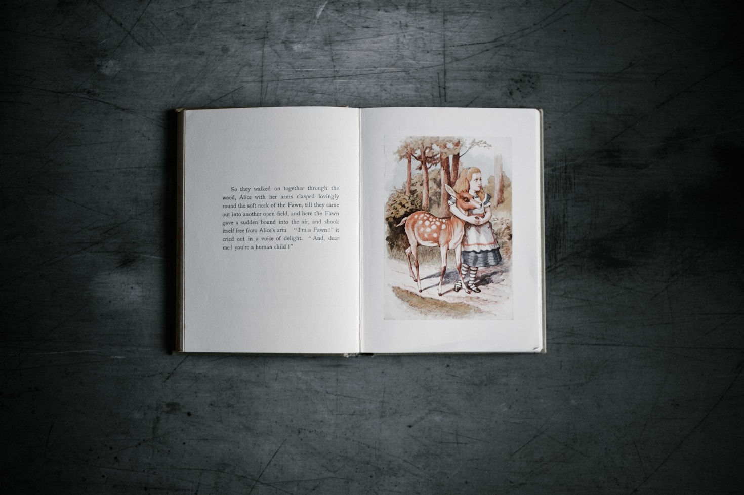 Unlocking Creativity Through Literature and Visual Art